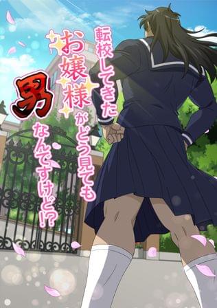 お嬢様は秘密を持っている