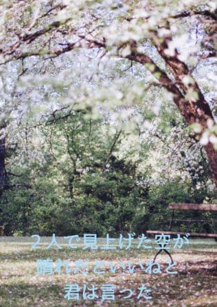 ２人で見上げた空が晴れだといいねと君は言った