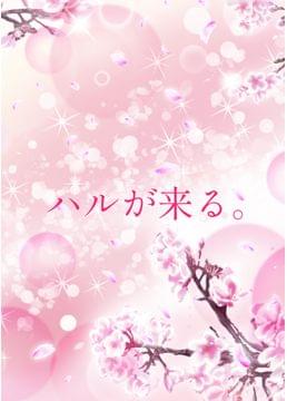 ハルが来る。