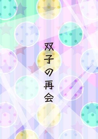 双子の再会