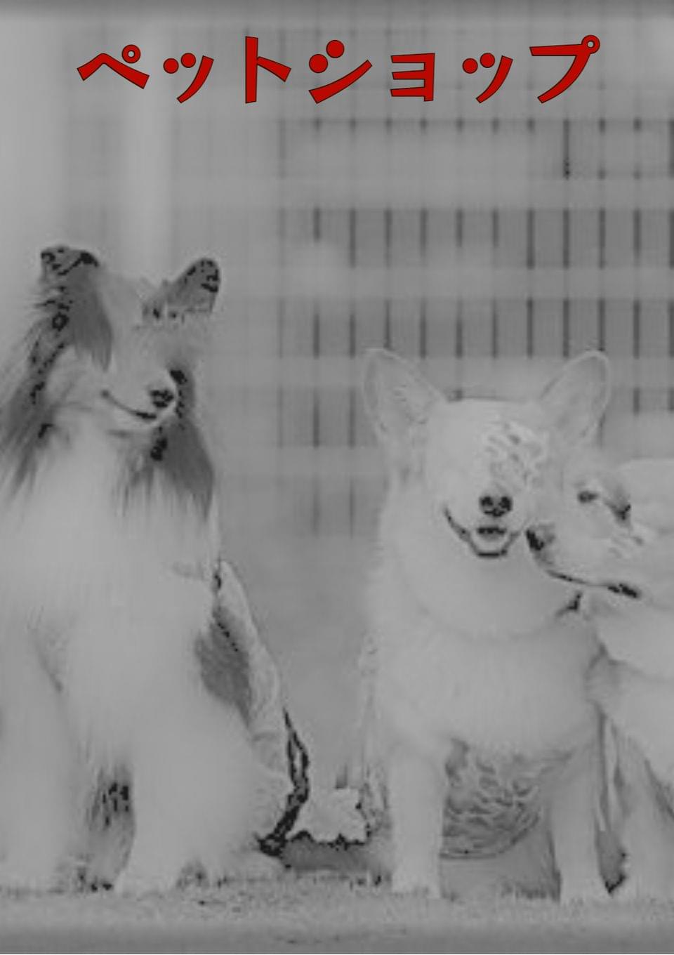 ペットショップ