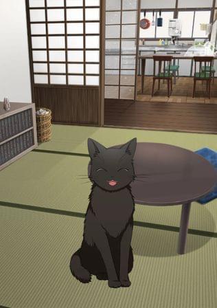 吾輩はバンドマンの飼い猫である