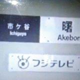 どんぐり